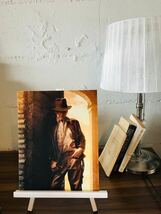 インディジョーンズ　ハリソンフォード　Indiana Jones Harrison Ford　写真　輸入　約20.3x25.4cm　11932_画像2