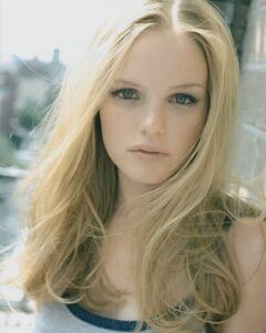 ケイトボスワース　Kate Bosworth　映画　写真　輸入　約20.3x25.4cm　23420