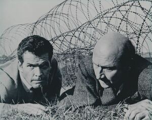 大脱走　The Great Escape　ジェームズガーナー　映画　写真　輸入　約20.3x25.4cm　23405