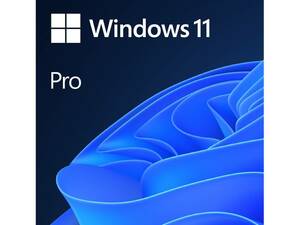 ★24時間いつでも5分で送信★認証保証 Windows 11Pro 64bit 正規プロダクトキー★