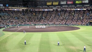 5/26( day ) Hanshin vs. person light years designation seat 2 sheets ream number 