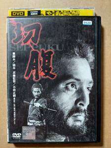 切腹☆仲代達矢☆岩下志麻☆石浜朗☆丹波哲郎☆レンタル落ち・視聴確認済み