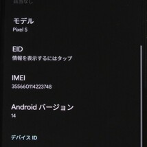 SIMフリー Google Pixel 5 5G 128GB ソータセージ_画像5