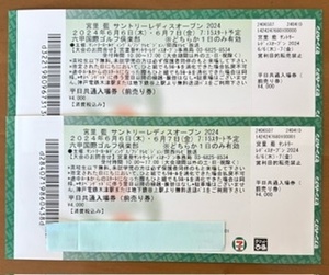 .. Indigo Suntory lady's week-day ticket 2 sheets 