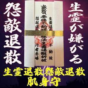 超生霊対策【生霊怨敵退散肌身守】#悪因縁退散　#生霊返し　#呪い返し