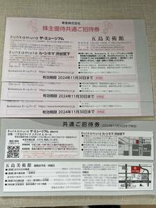 Bunkamura The Mu jiamrusinema Shibuya . under . island art gallery stockholder hospitality common invitation ticket total 4 sheets 