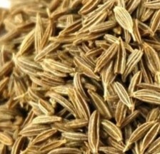 *kmin* herb spice * seeds approximately 50 bead * including in a package possible 