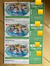 3枚セット除外日無し即配送◆東京サマーランド1DAYパス（利用制限なし）◆東京都競馬株主優待券◆2024.10.14まで即配送_画像1