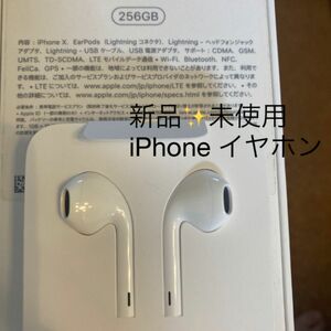 新品　未使用　iPhone イヤホン　iPhone Xに付属　純正 付属品 イヤホン Apple 変換アダプタ