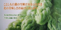 グリーンアスパラガス超極太 (3L以上 1kg) 北海道産 アスパラ 送料無料※只今発送中_画像9