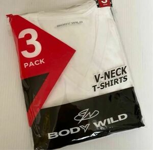 ボディーワイルド　Tシャツ　Sサイズ　半袖　V首　3枚セット　新品 グンゼ BODY WILD 白　ホワイト　グンゼ