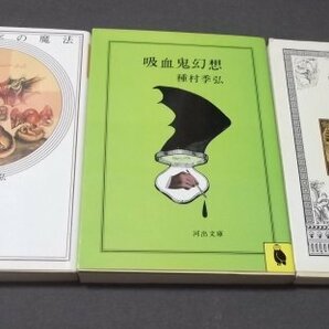 ●種村季弘3冊「吸血鬼幻想」「贋物漫遊記」「薔薇十字の魔法」河出文庫　ちくま文庫