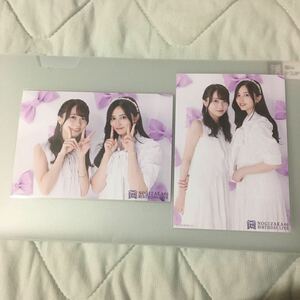 乃木坂46 生写真 矢久保美緒 井上和 12周年記念 2shot セミコンプ