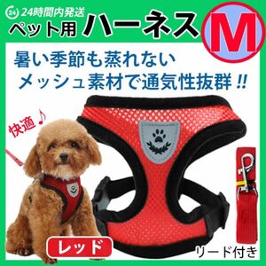 犬 ハーネス【Ｍサイズ】メッシュ素材で蒸れない・暑くない　苦しくないベストタイプ　レッド　リード　胴輪 首輪 ワンちゃん