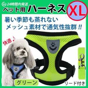 犬 ハーネス【ＸＬサイズ】メッシュ素材で蒸れない・暑くない　苦しくないベストタイプ　グリーン　リード　胴輪 首輪 ワンちゃん