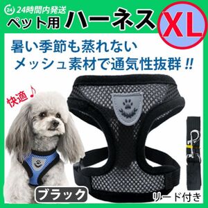 犬 ハーネス【ＸＬサイズ】メッシュ素材で蒸れない・暑くない　苦しくないベストタイプ　ブラック　リード　胴輪 首輪 ワンちゃん