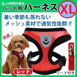 犬 ハーネス【ＸＬサイズ】メッシュ素材で蒸れない・暑くない　苦しくないベストタイプ　レッド　リード　胴輪 首輪 ワンちゃん