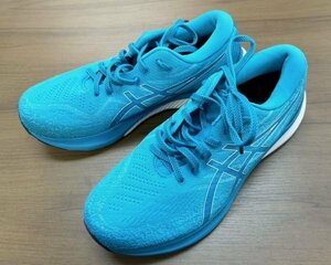 1◆430 ランニングシューズ asics(アシックス) GEL-KAYANO29 ゲルカヤノ 27.5㎝ 1011B471 全国送料710円 [札幌・店頭引取可]