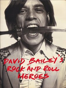 d) David Bailey's Rock and Roll Heroes