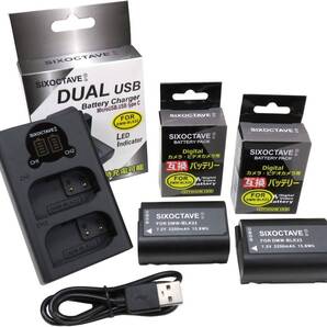 DMW-BLK22 Panasonic パナソニック 互換バッテリー 2個と 互換デュアルUSB充電器 の3点セット