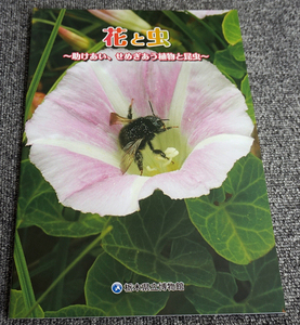 【未読】花と虫 助けあい、せめぎあう植物と昆虫◇栃木県立博物館 2023年 136回企画展 図録 【送料185円】