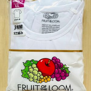 FRUIT OF THE LOOM 半袖丸首シャツ　天竺編み　3枚組　インナー　メンズ　LLサイズ　送料込み