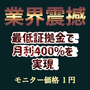 1円 FX 自動売買ツール MT4 カスタマイズ可能