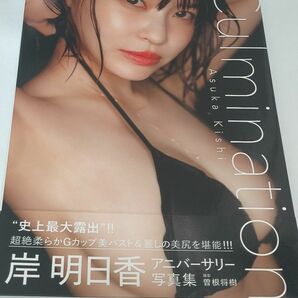 岸明日香 写真集 Culmination 岸明日香アニバーサリー写真集