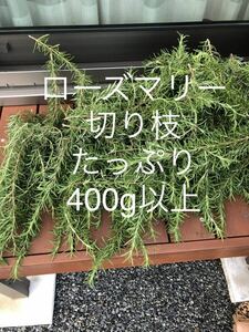 ローズマリー 無農薬 切り枝　匿名配送　400g