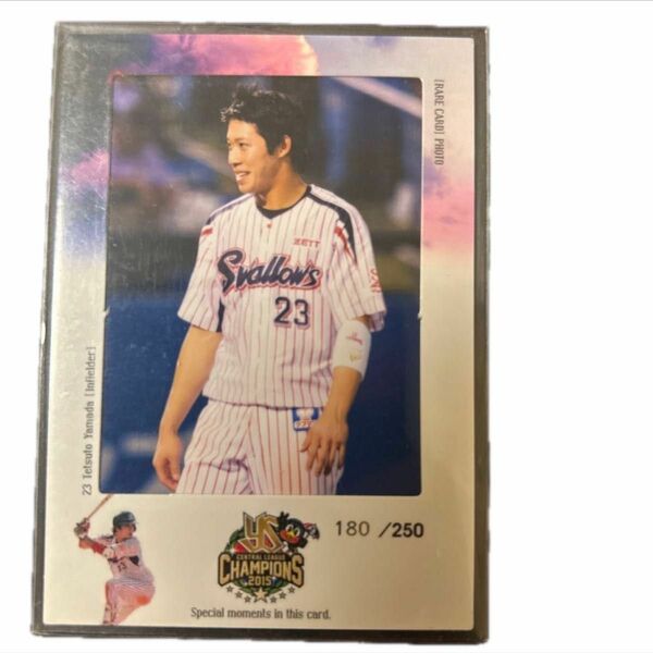 山田哲人選手2015フォトカード180/250