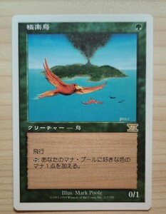 MTG 日本語 極楽鳥 マザックザギャザリング