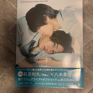  TVドラマ 「美しい彼」 公式ビジュアルブック (ロマンアルバム) 写真集