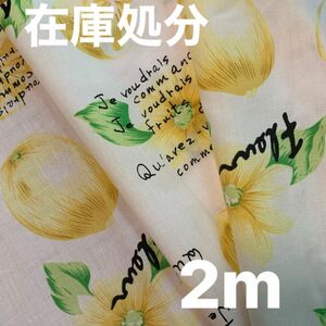 レモン柄生地　113㎝巾 2m