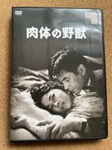 新東宝映画「肉体の野獣」土屋啓之助監督、川喜多雄二、三田泰子、三条魔子、三原葉子。大蔵貢製作。送185円※同ジャンル多数出品、同梱可_画像1