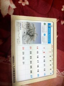 シンプルデスクカレンダー★2024☆3ヶ月表示★未使用