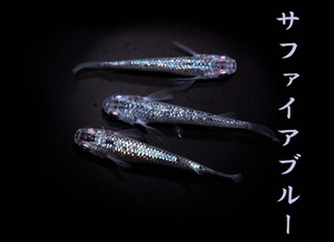 　めだか造り屋・サファイアブルー・稚魚10匹・Hー3