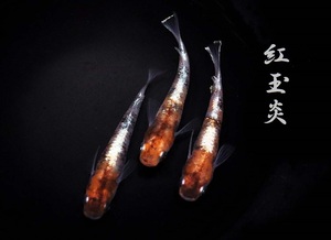 　めだか造り屋・紅玉炎・稚魚10匹・Kー9