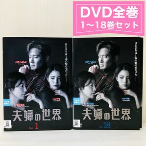 夫婦の世界 DVD全巻セット〈18枚組〉キム・ヒエ / パク・ヘジュン　 レンタル落ち　韓国ドラマ　中国ドラマ　韓流　華流