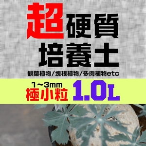 塊根植物 多肉植物 観葉植物 培養土 1リットル 1L 極小粒 超硬質 三本線 赤玉土 ひゅうが土 桐生砂 ゼオライト 富士砂 園芸用土