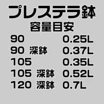 塊根植物 多肉植物 観葉植物 培養土 3リットル 3L 極小粒 超硬質 三本線 赤玉土 ひゅうが土 桐生砂 ゼオライト 富士砂 園芸用土_画像5