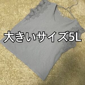 大きいサイズ5L le temps calme 刺繍袖カットソー