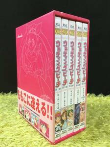 D54【DVD】愛天使伝説ウェディングピーチ DVD-BOX 第1弾 「MOMOKO BOX」