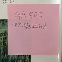 GA800 ノンヒューマン環境論 : 分裂病者の場合　書き込みあり_画像5