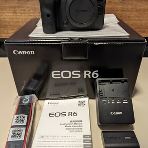 シャッター数約24200枚　Canon キャノンEOS R6 ボディ