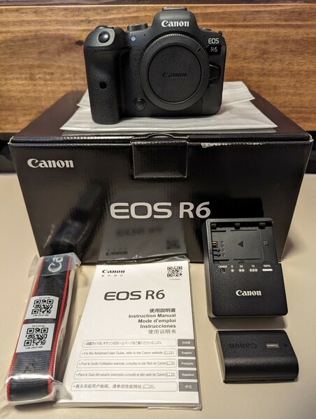 シャッター数約24200枚　Canon キャノンEOS R6 ボディ