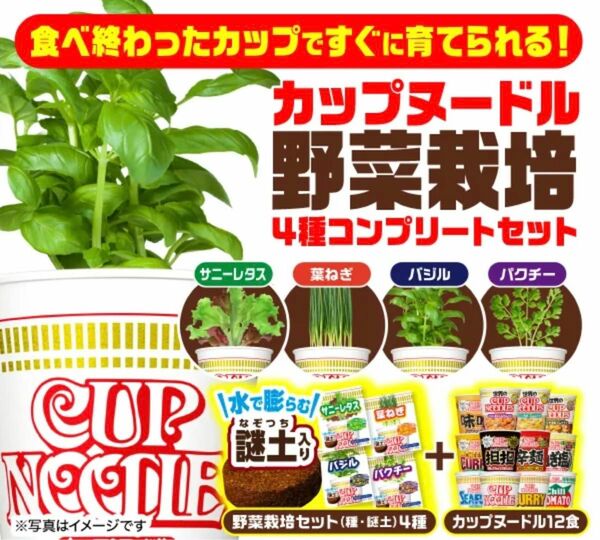 カップヌードル　野菜栽培　4種コンプリートセット　完売品