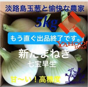 ＜もう直ぐ終了＞淡路島産新玉ねぎ 5kg 高糖度 新たまねぎ 新玉葱 新タマネギ