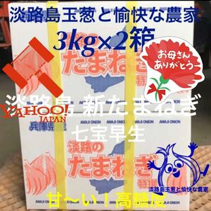 淡路島産新玉ねぎ 3kg×2箱 高糖度 新たまねぎ 新玉葱 新タマネギの画像1