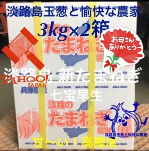 淡路島産新玉ねぎ 3kg×2箱 高糖度 新たまねぎ 新玉葱 新タマネギ