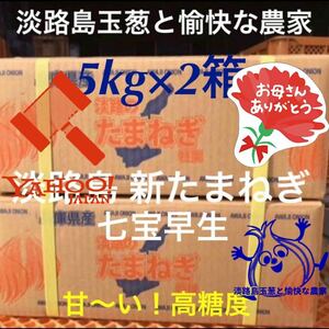 淡路島産新玉ねぎ 5kg×2箱 高糖度 新たまねぎ 新玉葱 新タマネギ